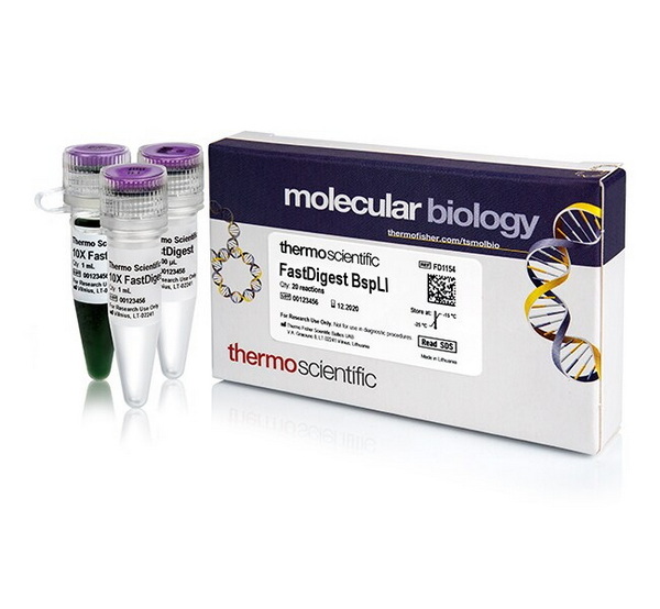 Эндонуклеаза рестрикции ускоренного гидролиза FastDigest BspLI, 20 реакций