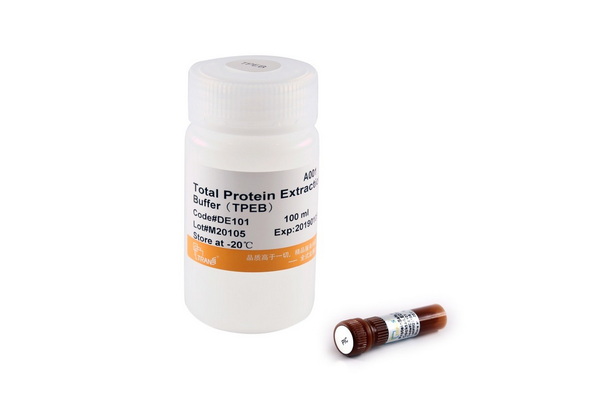 Набор для выделения суммарного белка ProteinExt Mammalian Total Protein Extraction Kit, 100 мл