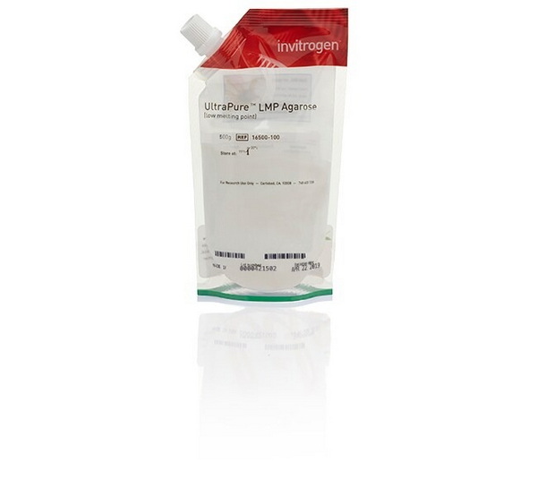Агароза с низкой температурой плавления UltraPure, 100 г