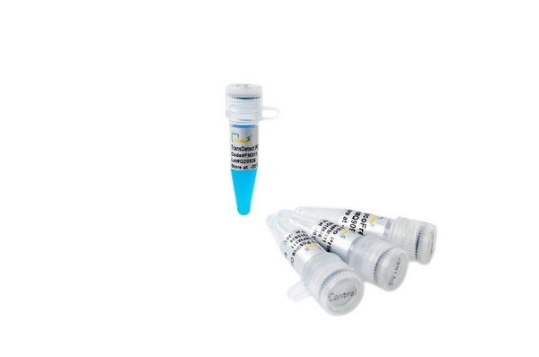 Набор для обнаружения микоплазмы TransDetect PCR Mycoplasma Detection Kit, 100 реакций