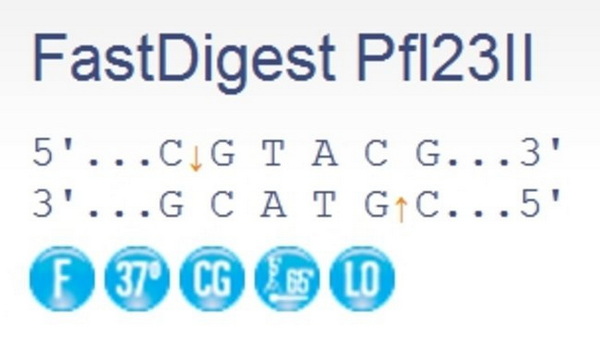 Эндонуклеаза рестрикции ускоренного гидролиза FastDigest Pfl23II, 50 реакций