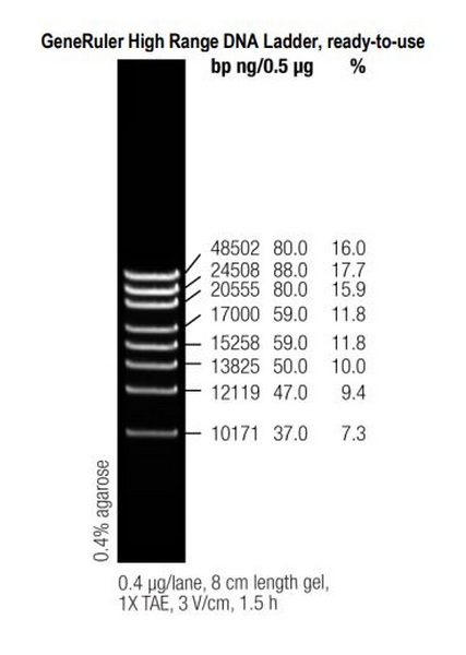 Маркеры молекулярной массы ДНК, 10171-48502 п.о., GeneRuler High Range, гот. к исп., 50 мкг