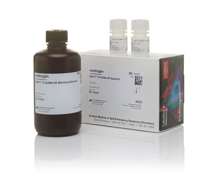 Набор Qubit HS для количественного определения dsDNA, 1X, 0.1-120 нг, 100 реакций