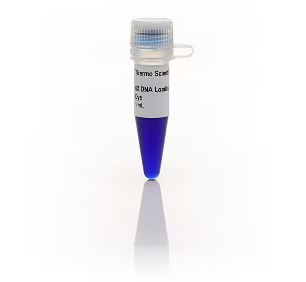 Краситель для нанесения на гель DNA Gel Loading Dye, 6X, 5х1 мл