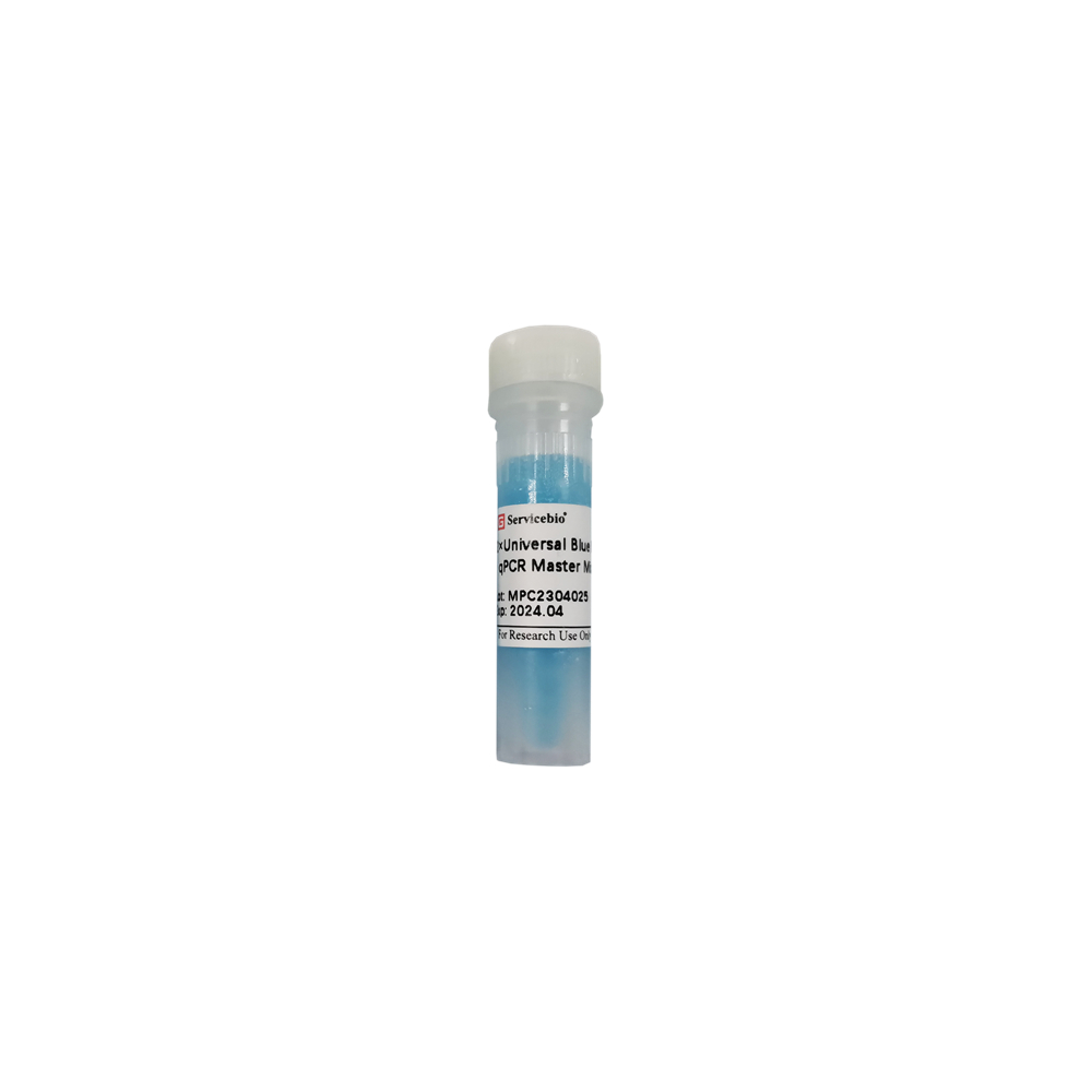 Мастер-микс для количественной ПЦР Universal Blue Multiplex Probe, 2х, с UDG, 1 мл