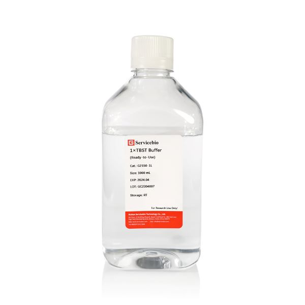 Буфер TBST, Common Pathology Reagent, 1 л