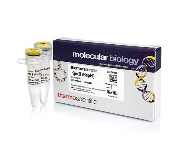 Эндонуклеаза рестрикции Kpn2I (BspEI), 10 ед/мкл, 500 единиц