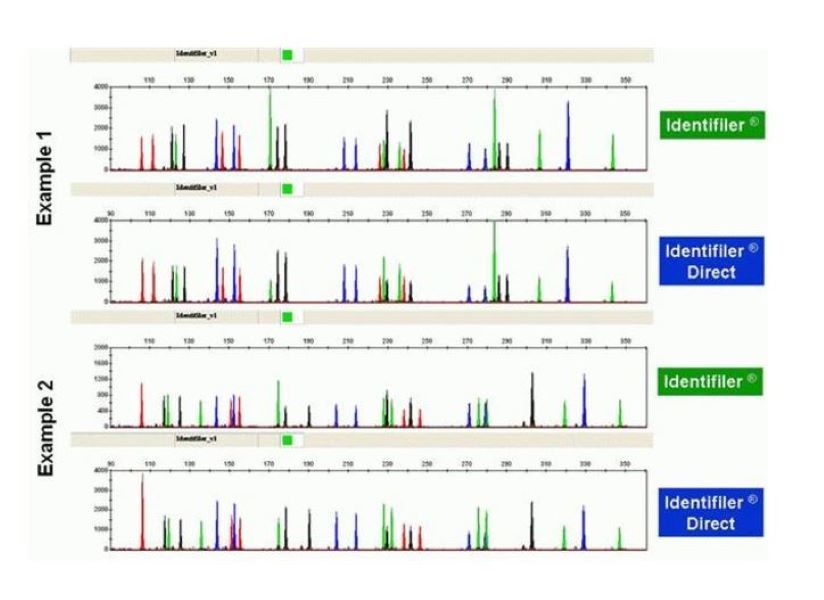 Набор AmpFLSTR Identifiler для прямой ПЦР, 200 реакций