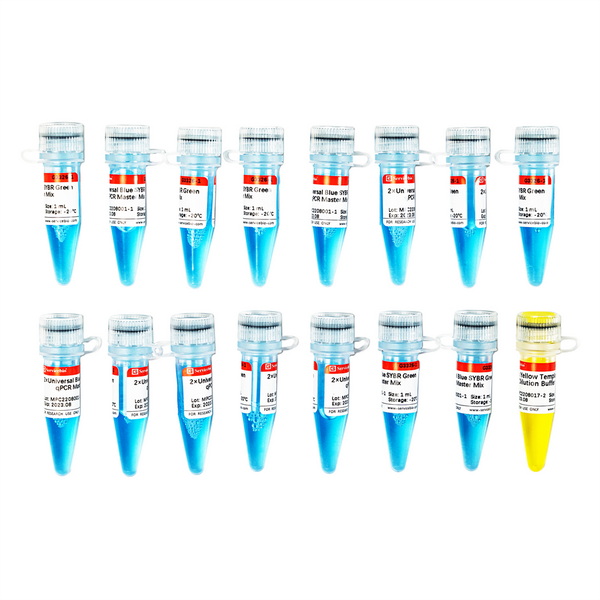 Мастер-микс для количественной ПЦР Universal Blue SYBR Green, 2х, 15 х 1 мл