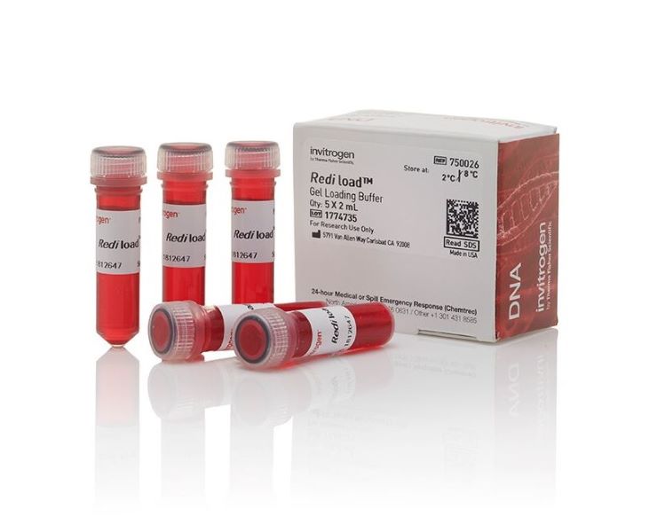 Буфер загрузочный RediLoad, 10X, 5 x 2 мл