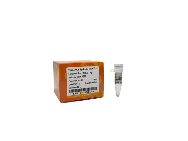 Контрольная ДНК TransNGS Spike-in DNA Controls for CUT&Tag, 12 мкл