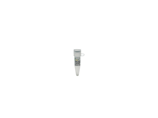 Антитела вторичные козы ProteinFind Goat Anti-Mouse IgG (H+L), 96 μL