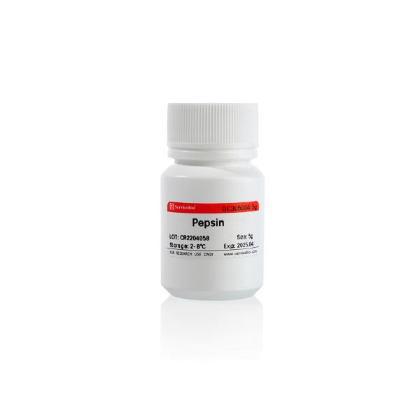 Пепсин 1:3000, CAS 9001-75-6, 5 г