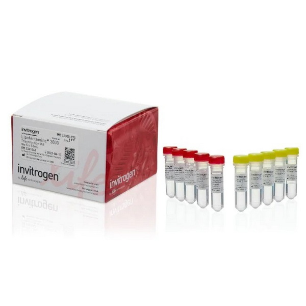 Трансфекционный реагент Lipofectamine 3000, 5 x 1.5 мл