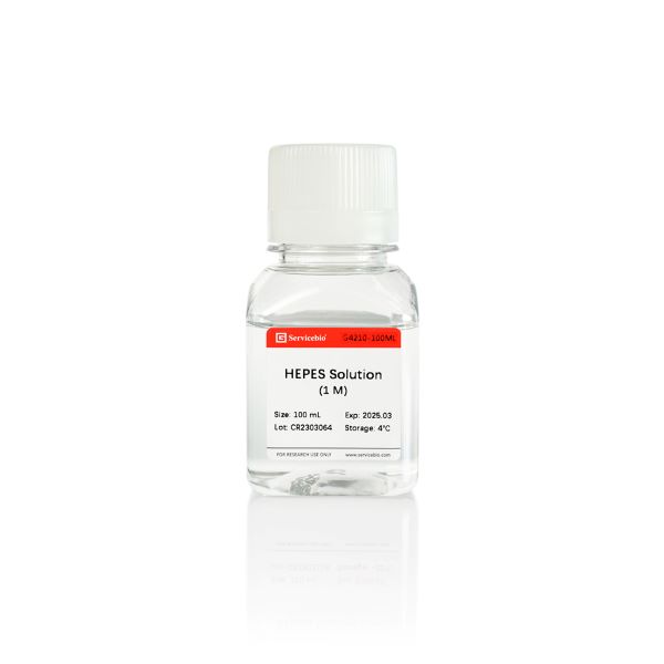 ХЕПЕС (HEPES), 1М, раствор, для культуральных работ, 100 мл