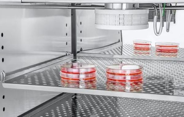 Полка горизонтальная с держателями для культуральных чашек, для СО2-инкубатора D180