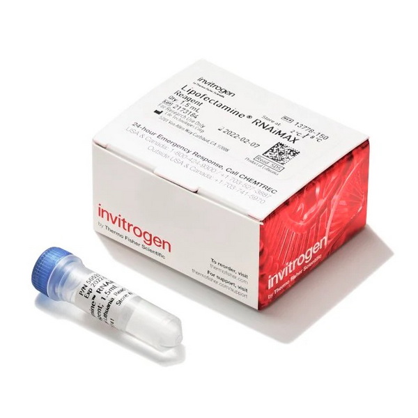 Трансфекционный реагент Lipofectamine RNAiMAX, 1.5 мл