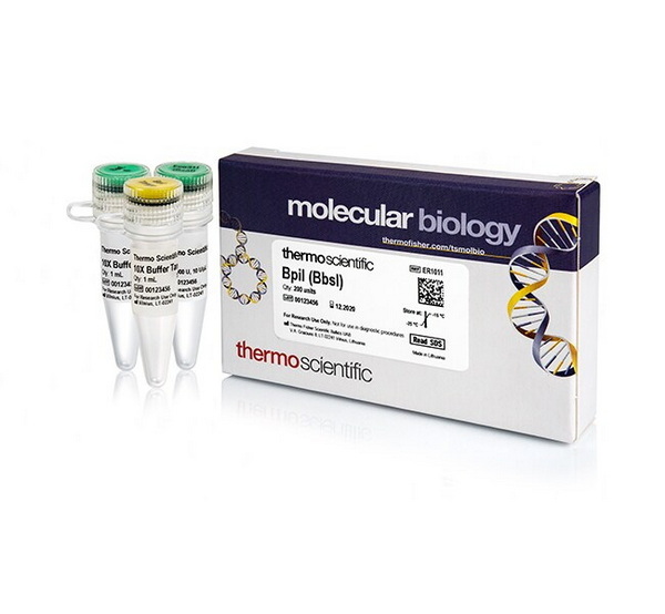 Эндонуклеаза рестрикции BpiI (BbsI), 10 ед/мкл, 200 единиц