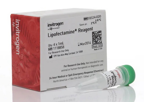 Трансфекционный реагент Lipofectamine, 4 мл
