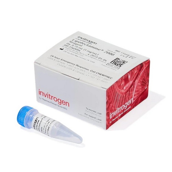 Трансфекционный реагент Lipofectamine 2000, 0.75 мл