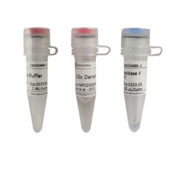 Пептид-N-гликозидаза F (PNGase F), 25000 единиц
