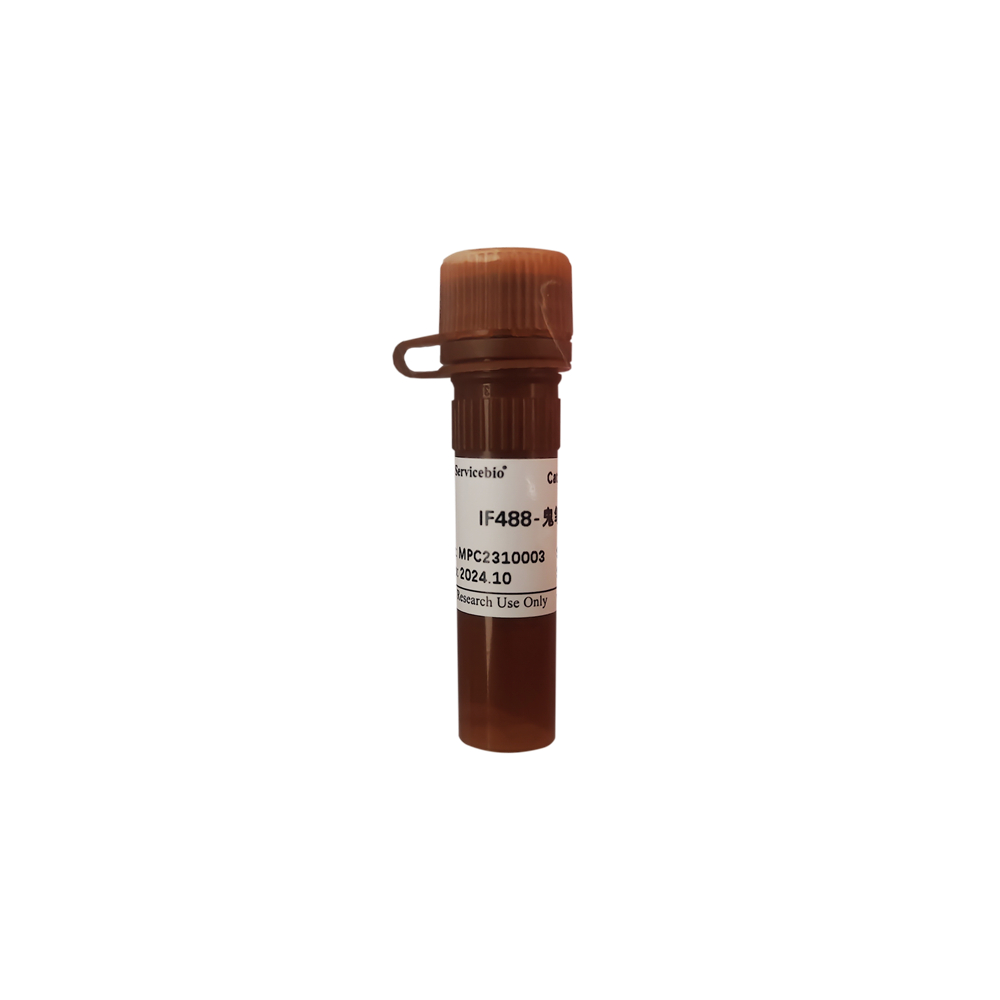 Краситель IF488-Phalloidin, 100 реакций