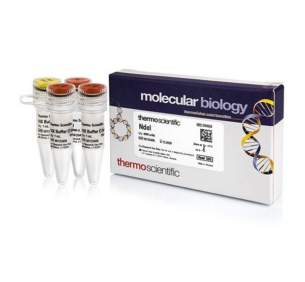 Эндонуклеаза рестрикции NdeI, 10 ед/мкл, 4000 единиц