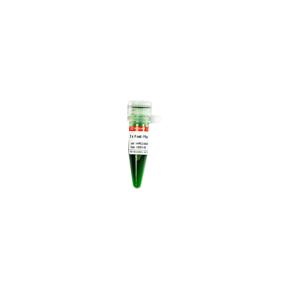 Мастер-микс для ПЦР Fast Pfus, 2x, 1 мл