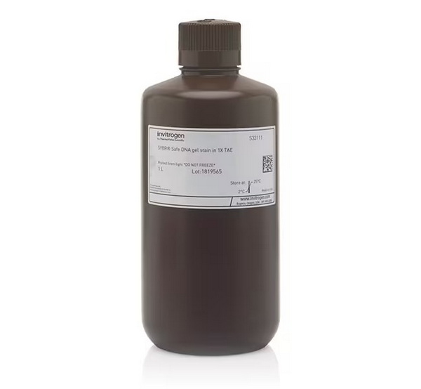 Краситель SYBR Safe, раствор в 1X буфере TAE, 1 л