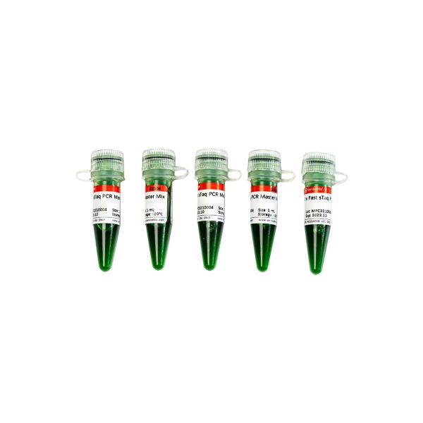 Мастер-микс для ПЦР Fast sTaq, 2x, 5 х 1 мл