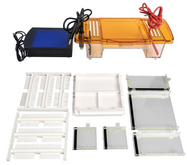 Камера для электрофореза, горизонтал., р-р гелей 120 х 120 мм, 60 х 120 мм, 120 х 60 мм, 60 х 60 мм