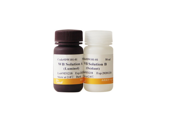 Набор для хемилюминесцентной детекции EasySee Western Blot, 200 мл