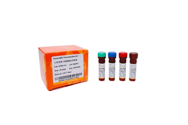 Набор идентификации мезенхимальных стромальных клеток Human MSC Characterization Kit, 25 тестов