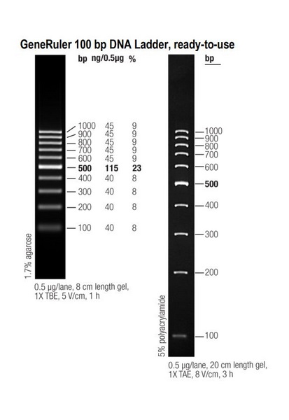 Маркеры молекулярной массы ДНК, 100-1000 п.о., GeneRuler 100, гот.к исп. (10 фр.), 50 мкг