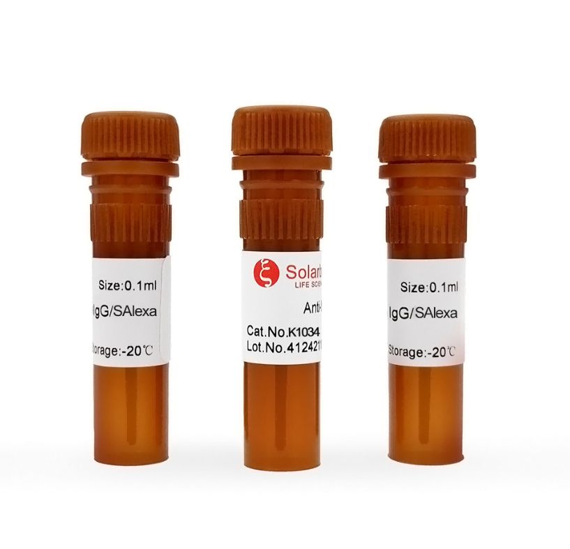 Антитела вторичные, поликлональные IgG, Solar (SAlexa) Fluor 555, 100 мкл