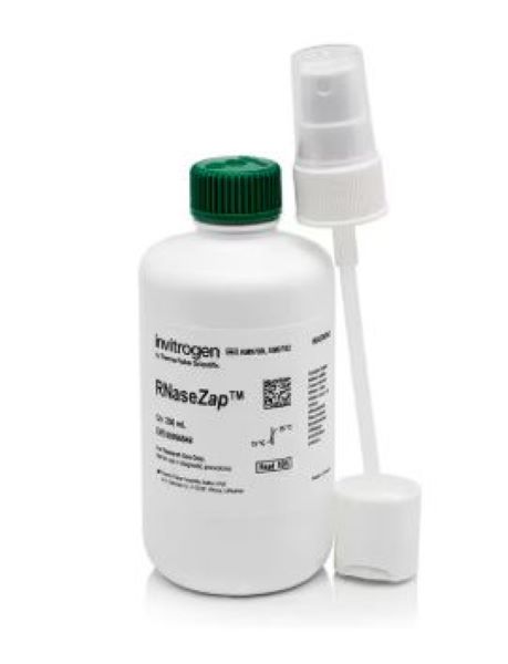 Средство для деконтаминации от РНКаз RNaseZap, 250 мл