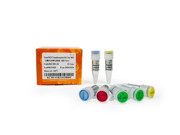 Набор конверсии библиотек TransNGS Transformation Kit for MGI, 12 реакций