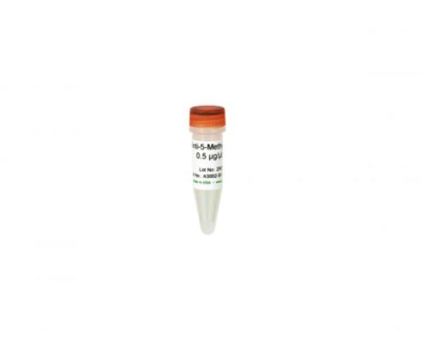 Антитела к 5-метилцитозину (5mC) Anti-5-Methylcytosine (Clone 7D21), экономичная упаковка, 200 мкл