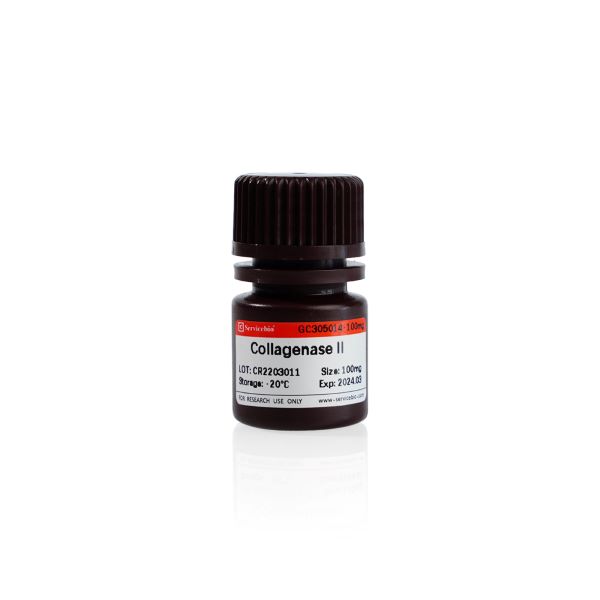 Коллагеназа тип II из Clostridium histolyticum, активность ≥ 125 CDU/мг, CAS 9001-12-1, 100 мг