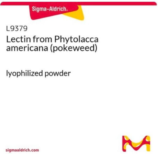 Лектин из Phytolacca americana (тыквы), 5 мг