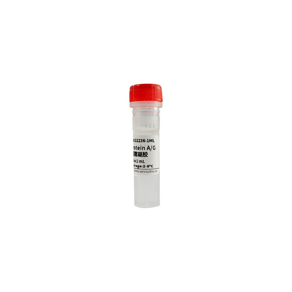 Агарозный гель для очистки антител SweAgarose Protein A/G, 1 мл