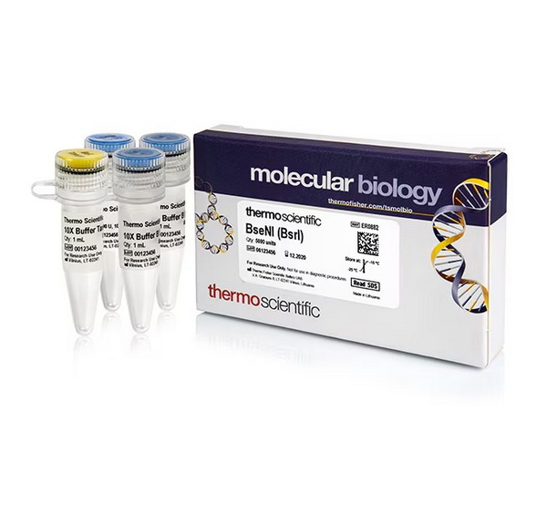 Эндонуклеаза рестрикции BseNI (BsrI), 10 ед/мкл, 5000 единиц
