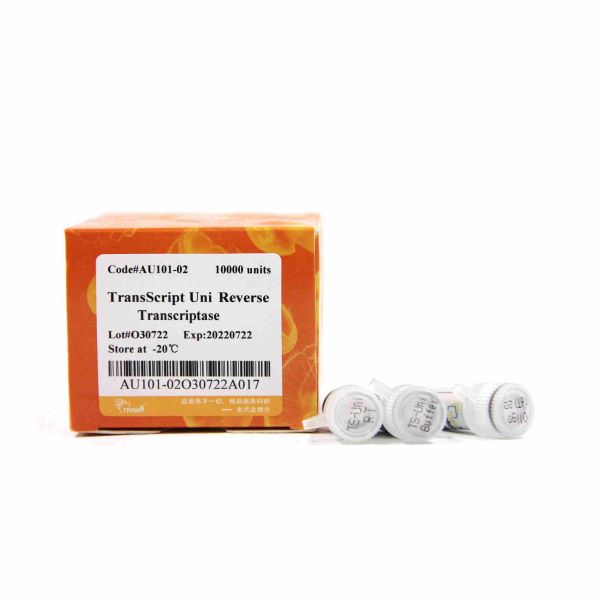 Обратная транскриптаза высокотемпературная TransScript Uni [M-MLV, РНКаза H-], 10000 единиц