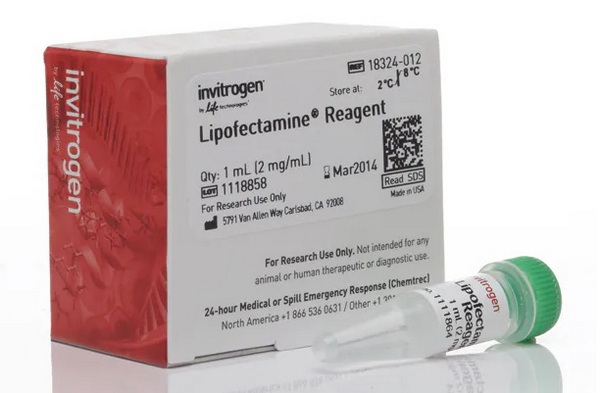 Трансфекционный реагент Lipofectamine, 1 мл