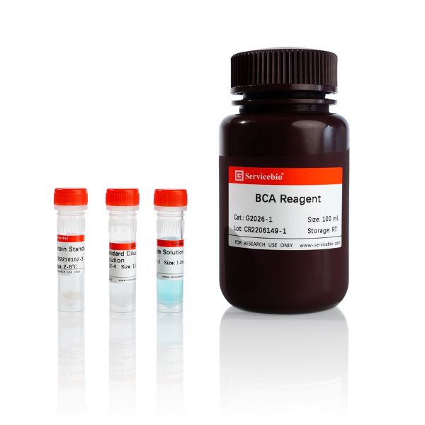 Набор реагентов для количественного определения белка методом BCA, 200 реакций