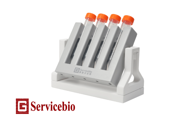 Магнитные штативы Servicebio