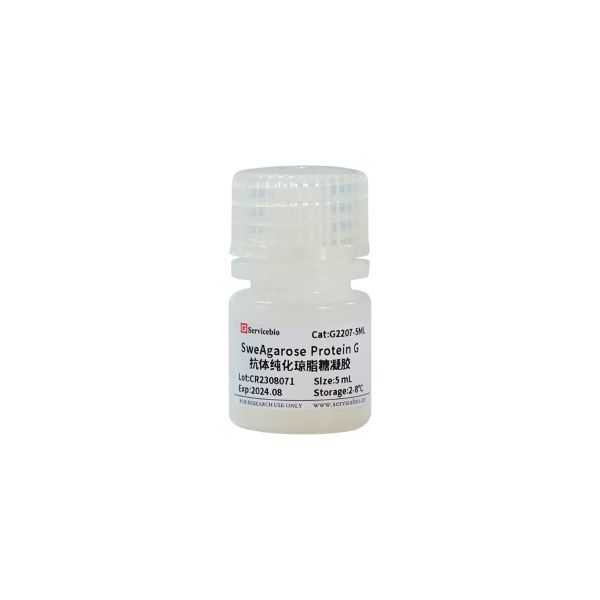 Агарозный гель для очистки антител SweAgarose Protein G, 5 мл
