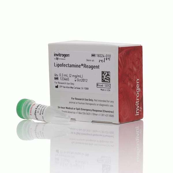 Трансфекционный реагент Lipofectamine, 0.3 мл