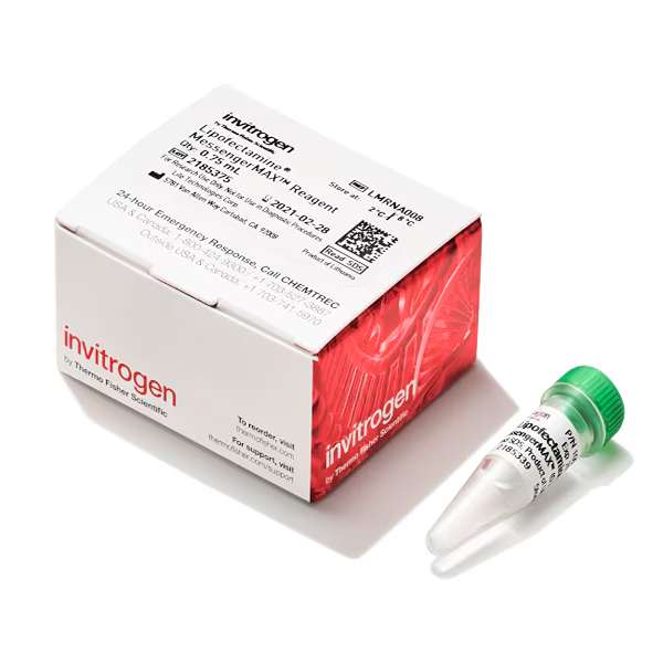 Трансфекционный реагент Lipofectamine MessengerMAX, 0.75 мл