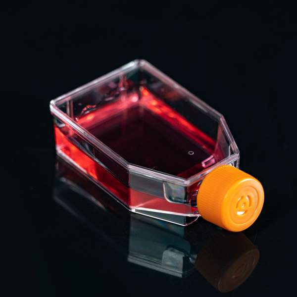 Флакон культуральный, 25 см2, вент. крышка, TC-treated, стерил., 10 шт/упак